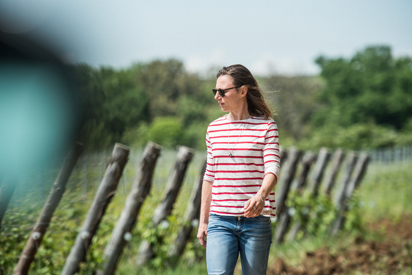 Benvenuti a Le Vigne di Silvia