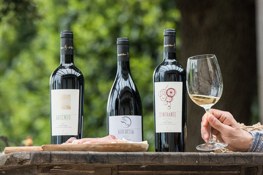 Vini e sapori del territorio di Bolgheri